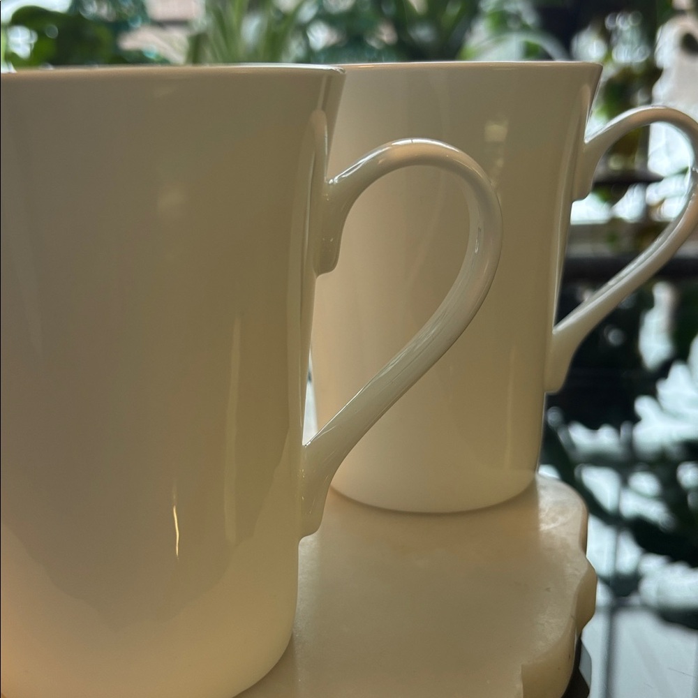Mikasa DELRAY Bone China Mug Set - Picture 11 of 11